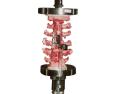 Compression test on spine